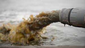 Biological Pollution (2)